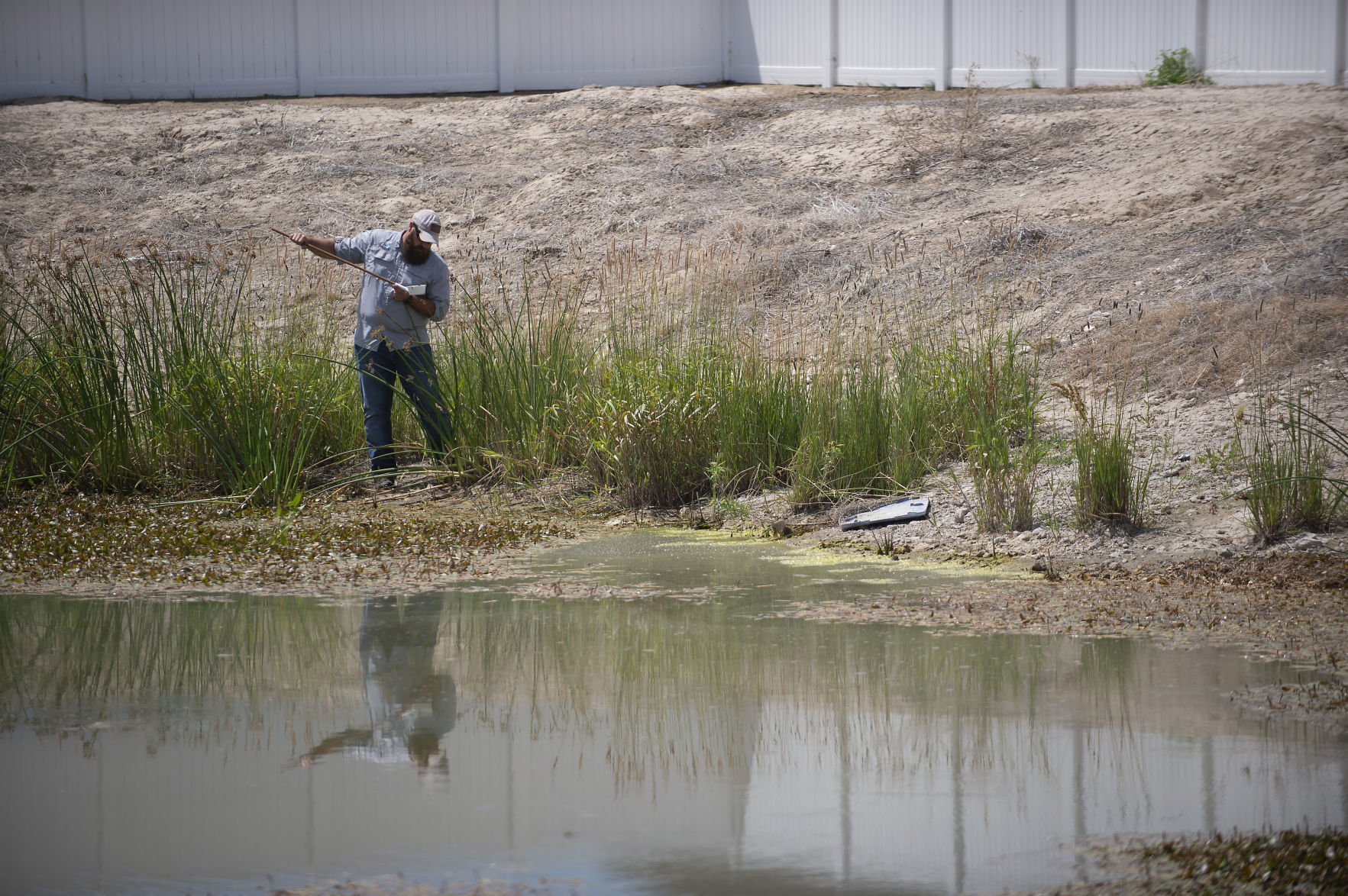 Mosquito abatement using fish